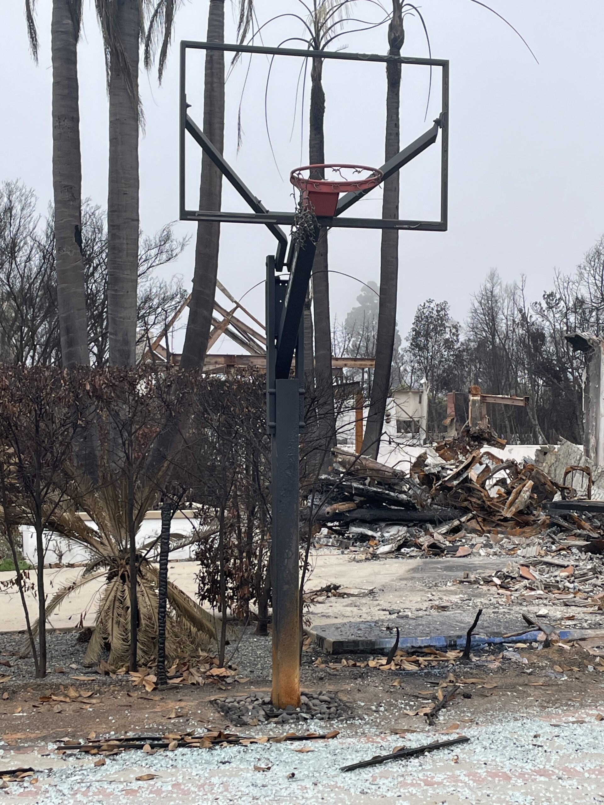 Laura Gabayan Palisades Fire